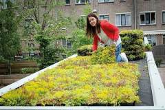 Mobilane_MobiRoof-1