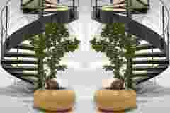 3-Natura-donut_TWIN
