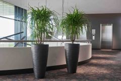 Curved Vase Iron
