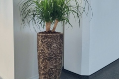 exklusive-gefaesse-palme