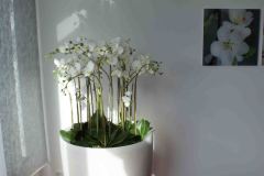 Fiberglas Bodenvase