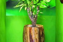 Natura Banana