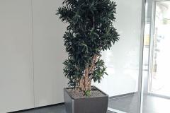 Steingefaess-Eingang