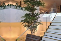 beete-treppe