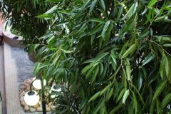 eingangsbereich-einer-verwaltung