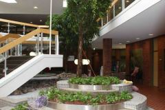 eingangshalle-und-treppenhaus-mit-grosspflanzen