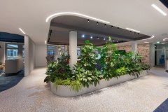 Schoeps und Schlüter Architekten; Linda Moos; Atruvia AG; Münster; Mai 2024, Gedike Begrünungen GmbH & Co. KG