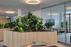 grossbaeume-launch-fern