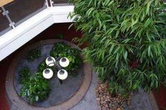 grossbeet-mit-6-meter-pflanze