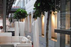 grosspflanzen-in-einer-moebelausstellung