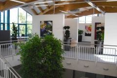 grosspflanzen-ueber-2-etagen