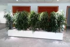 pflanzeninsel-mit-edelstahlgefaessen