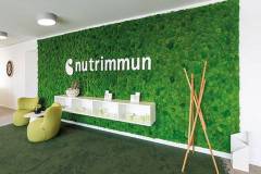 Gruene-Wand-Natur-2