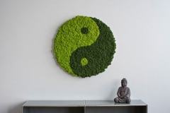 Islandmoosbild-YinundYangkreis-Ambiente