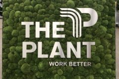 The-Plant-scaled-e1625219021934