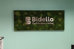 bidello-moosbild