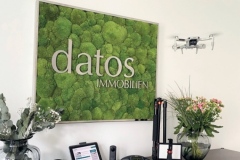 datos-moos