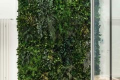 jungle01_klein-scaled