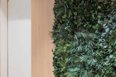 jungle08_klein
