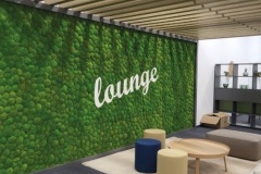 lounge-moos
