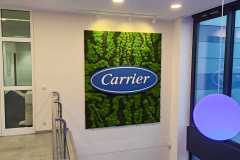 moosbild-carrier