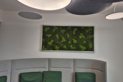 moosbild-hinter-sitzecke