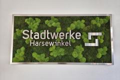 moosbild-stadtwerke-harsewinkel