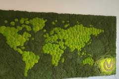moosbild-wand