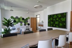 moosbilder-konferenz-tisch