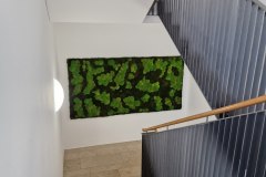 moosbilder-treppenhaus