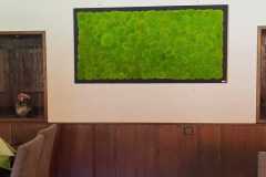 mossbild-wand