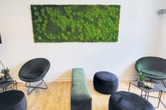 sitzecke-moos