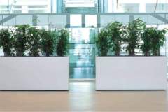 Kunststoff Bodengefäß Prestige Rechteck