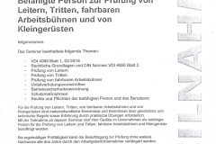 Befaehigte-Person-Leiterpruefung