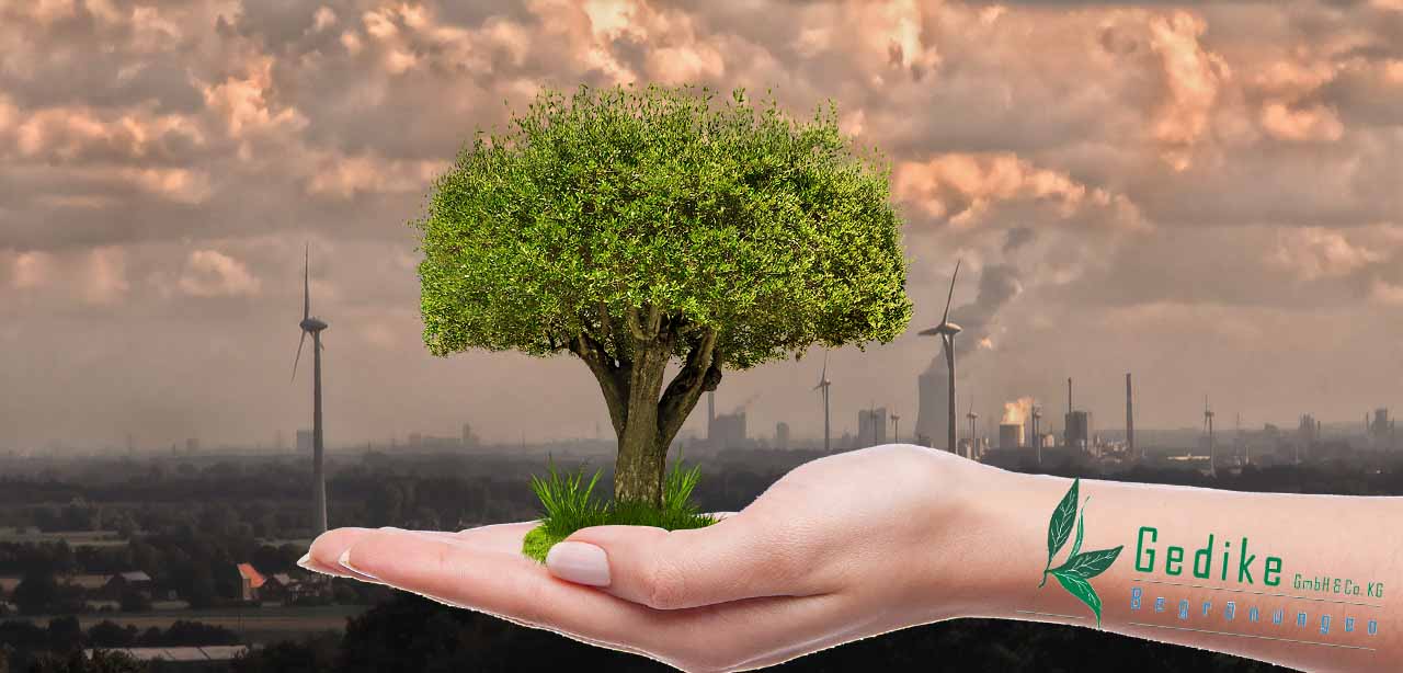 Hand mit Baum