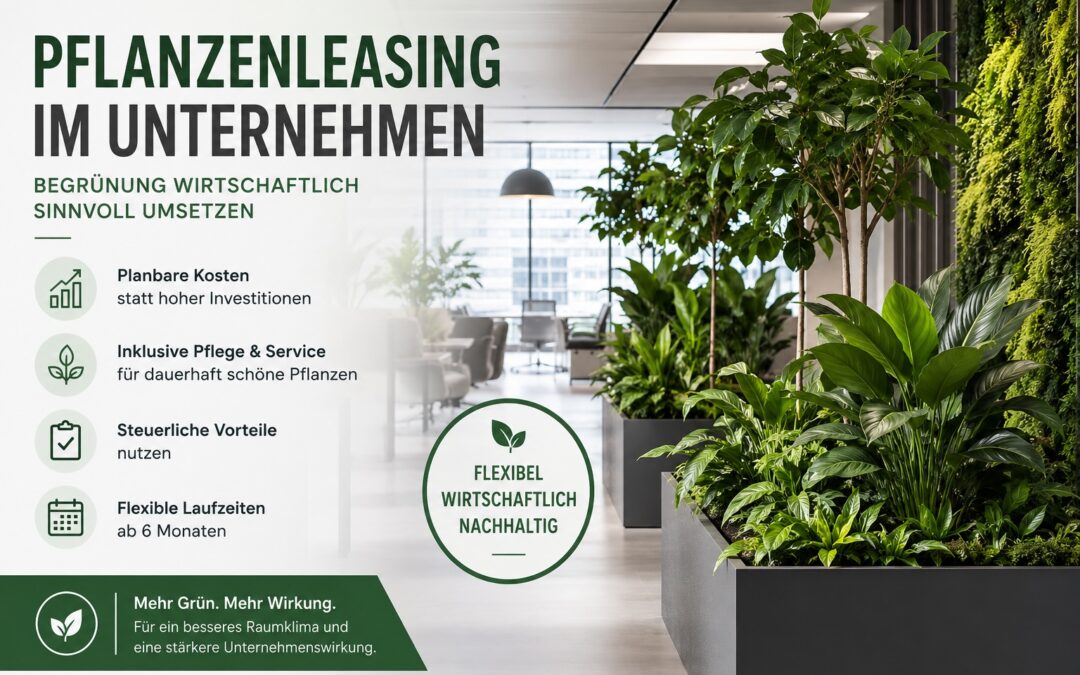 Pflanzenleasing im Unternehmen: Begrünung wirtschaftlich sinnvoll umsetzen